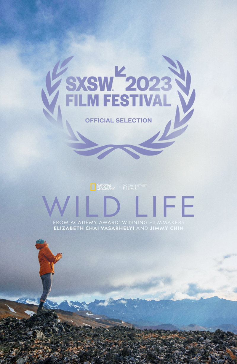 Wild Life Poster, person in mountains with sky